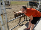 SAM_0642