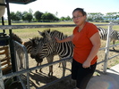 SAM_0647