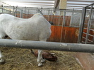 SAM_0648