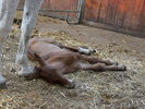 SAM_0649