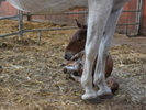 SAM_0651