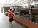 SAM_0655