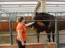 SAM_0658