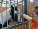 SAM_0662