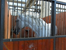 SAM_0663