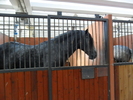 SAM_0666
