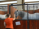 SAM_0667