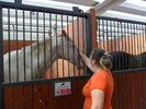 SAM_0668
