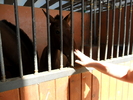 SAM_0669