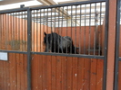SAM_0670