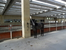 SAM_0671