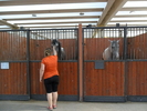 SAM_0672