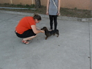 SAM_0679