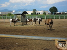 SAM_0681