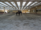 SAM_0683