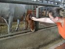 SAM_0685