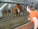SAM_0687