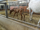 SAM_0710