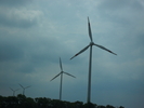 SAM_0758