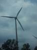 SAM_0761