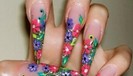 gypsynail