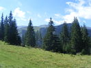 DSCF3015