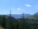 DSCF3082