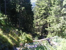 DSCF3104
