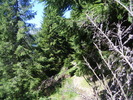 DSCF3105