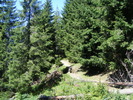 DSCF3109