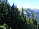 DSCF3115
