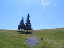 DSCF3116