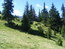 DSCF3119