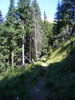 DSCF3155
