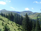 DSCF3161
