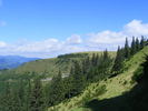 DSCF3166