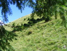 DSCF3195