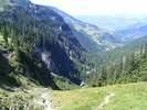 DSCF3247