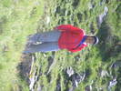 DSCF3252