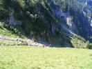 DSCF3255