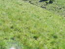 DSCF3258