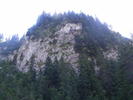 DSCF3295