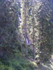DSCF3308