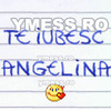 te%20iubesc%20ANGELINA[1]