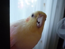 P1020807