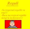 Reguli