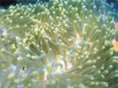 PH025_033