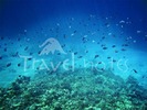 poze_egipt_marea_rosie_scuba_diving_pics_024