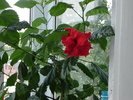 DSC03207