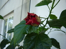 DSC03191